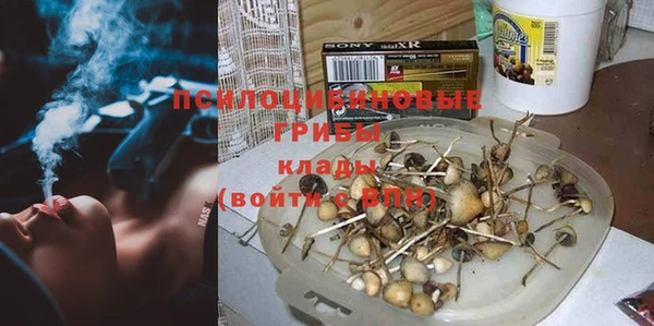 хмурый Алексин