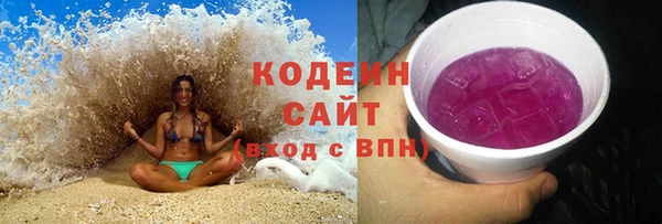 хмурый Алексин